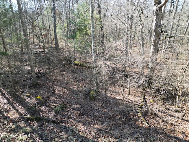 6024 Tomahawk Dr, Crossville TN, 38572 land for sale