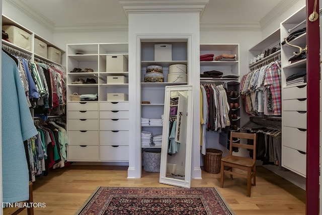 spacious closet featuring light hardwood / wood-style flooring