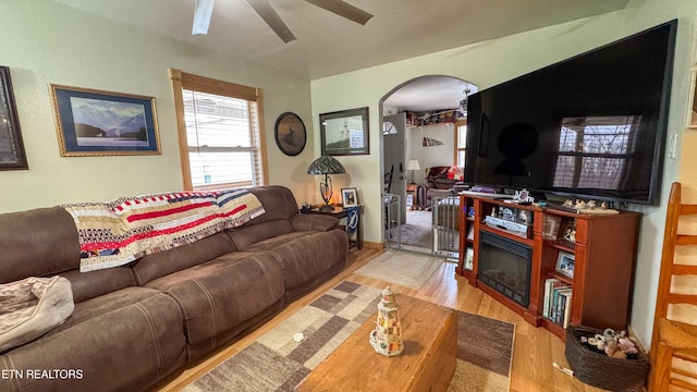 living room with ceiling fan and light wood-type flooring