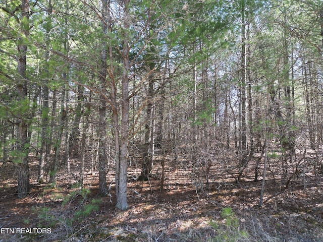 923 Paola Dr, Crossville TN, 38572 land for sale