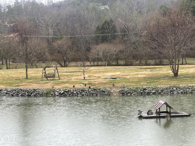 dock area featuring a water view and a yard