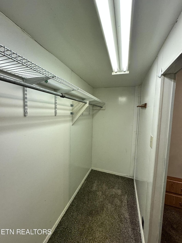 spacious closet featuring dark colored carpet