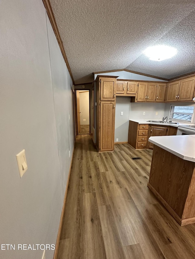 kitchen featuring vaulted ceiling, sink, crown molding, a textured ceiling, and light hardwood / wood-style flooring