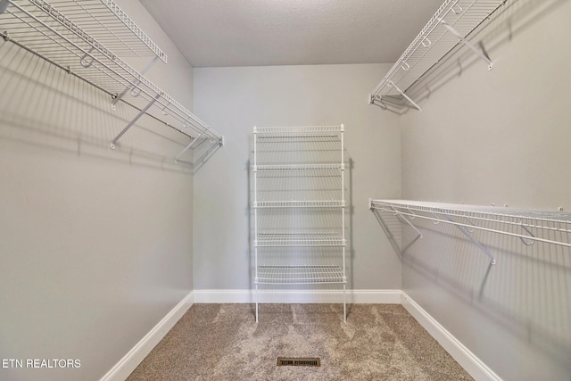 spacious closet featuring carpet floors