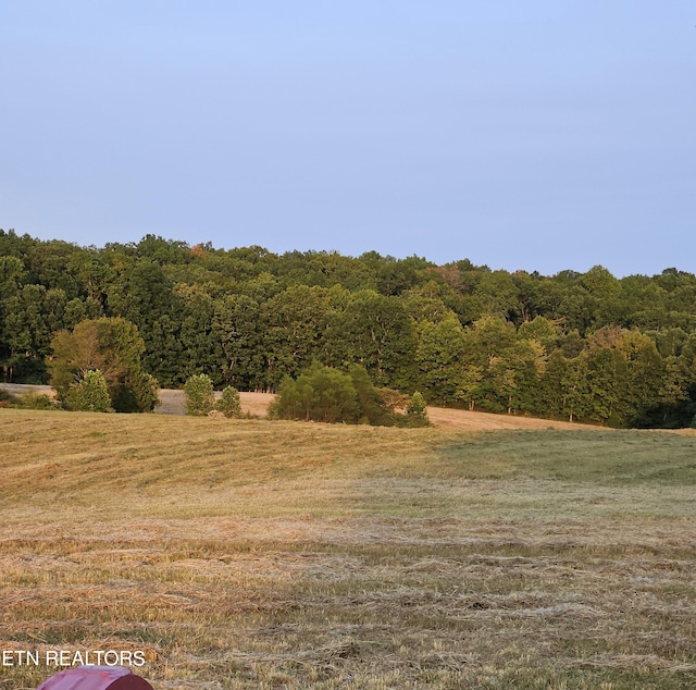 view of nature