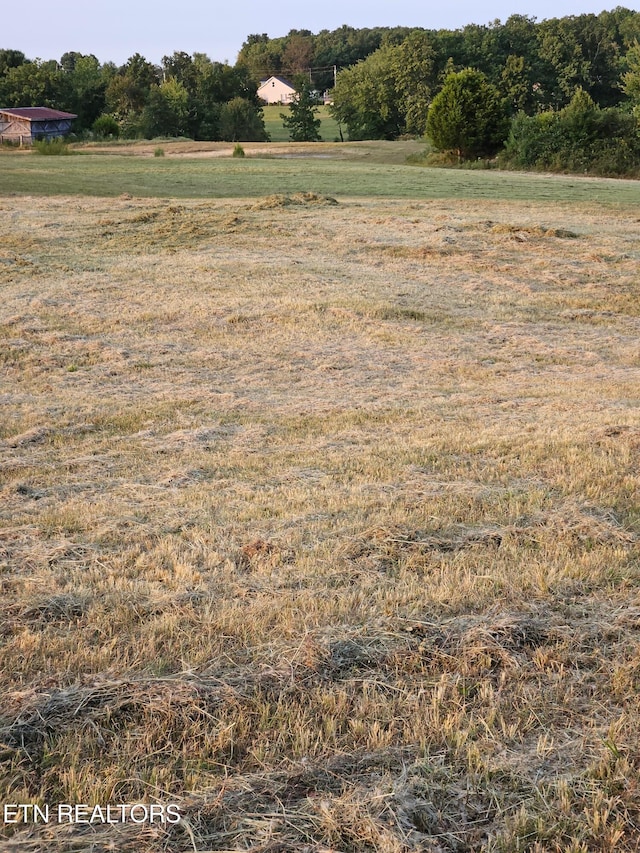 view of local wilderness featuring a rural view