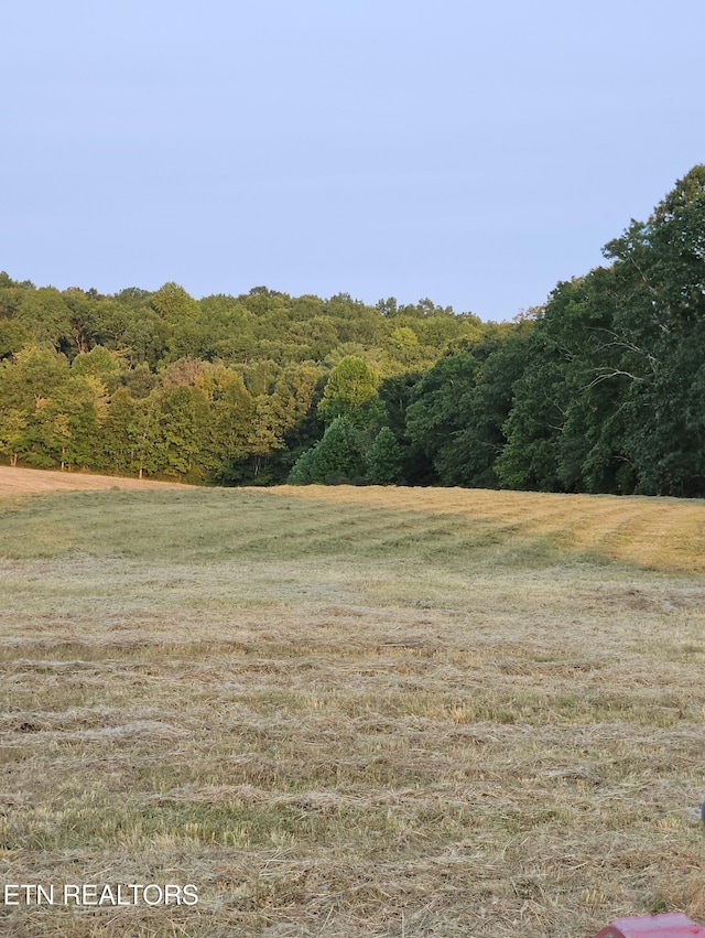 view of nature