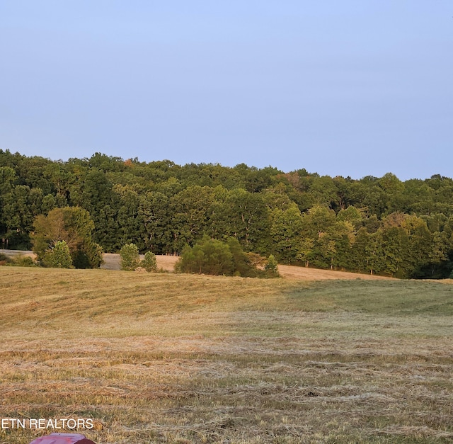 view of local wilderness