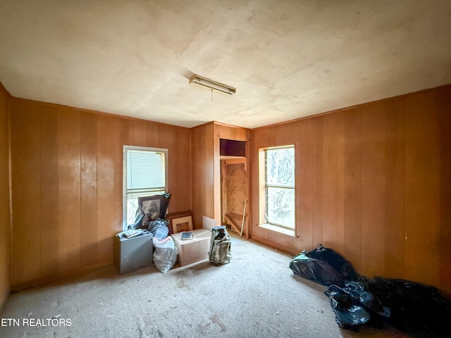 misc room with a healthy amount of sunlight and wood walls