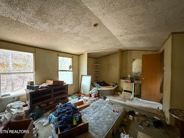 miscellaneous room featuring crown molding and a textured ceiling