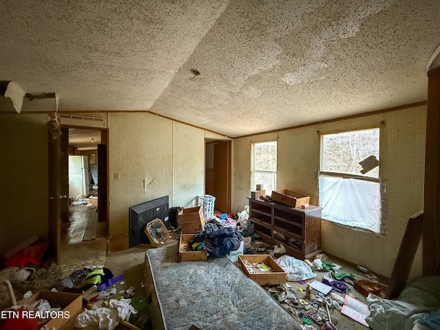 miscellaneous room featuring ornamental molding, lofted ceiling, and a textured ceiling