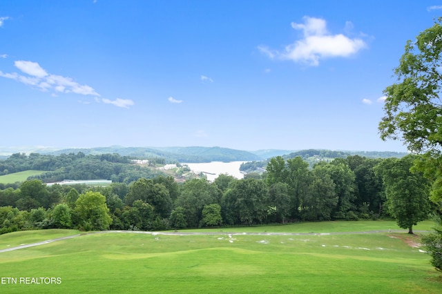 view of property's community with a mountain view and a lawn