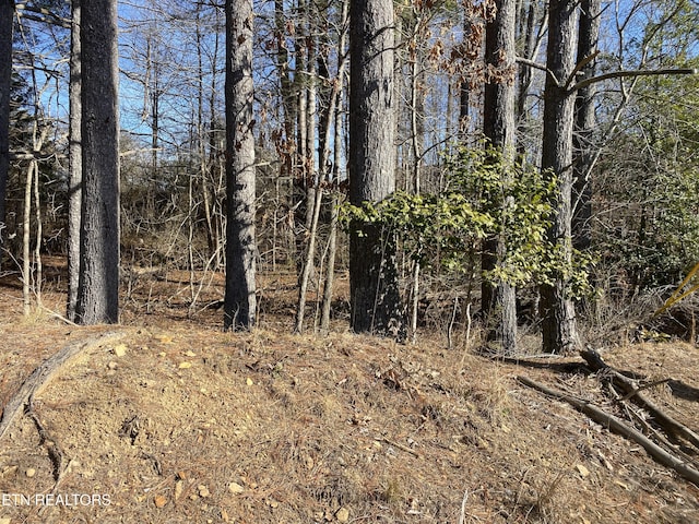 5038 Beaver Rd, Crossville TN, 38572 land for sale