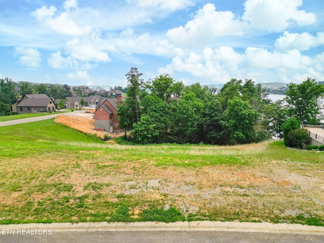 1700 Bower Ct, Lenoir City, TN 37772 - photo 14