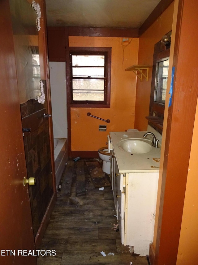 bathroom with vanity, toilet, and wood-type flooring