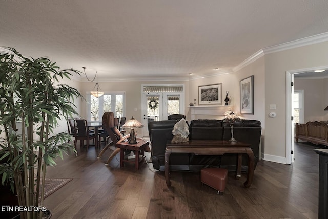 living room with dark hardwood / wood-style flooring and ornamental molding