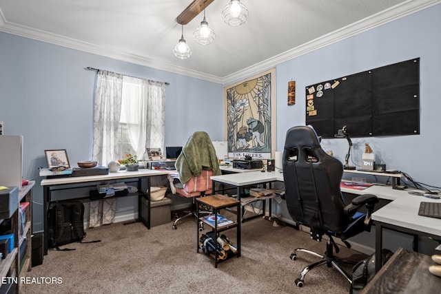 carpeted office space with crown molding