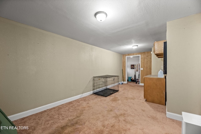 interior space with light colored carpet, baseboards, and a textured ceiling