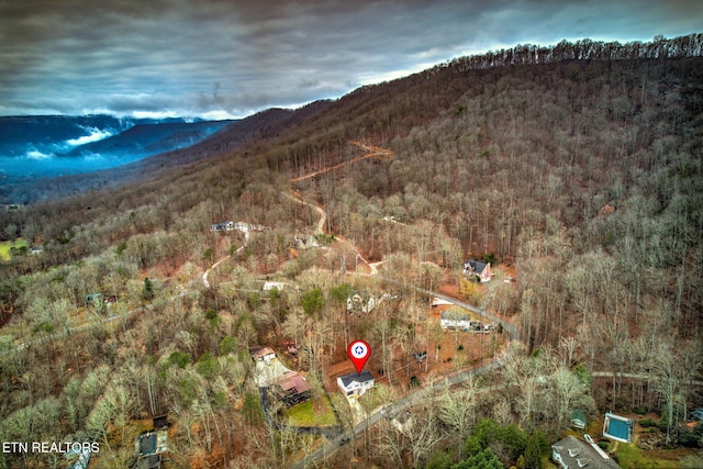 aerial view with a mountain view and a view of trees