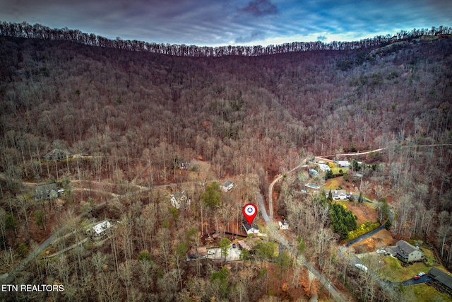 bird's eye view with a view of trees