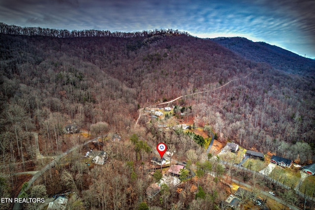 property view of mountains featuring a wooded view