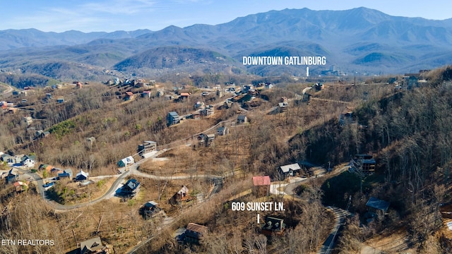 birds eye view of property with a mountain view