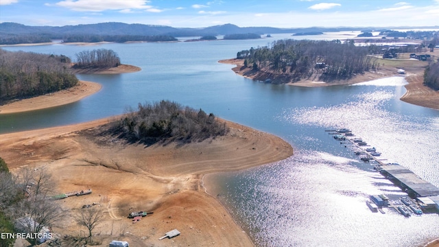 bird's eye view with a water and mountain view