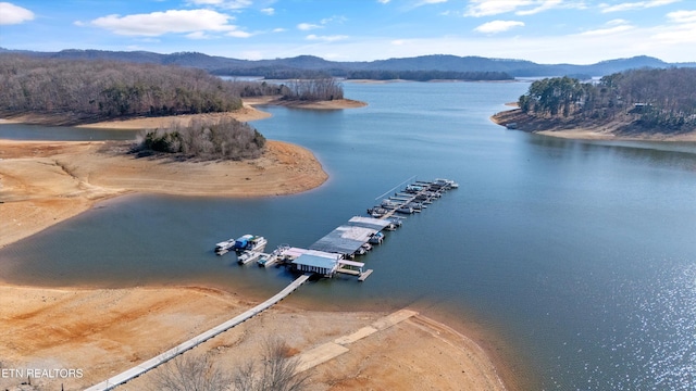 birds eye view of property with a water and mountain view