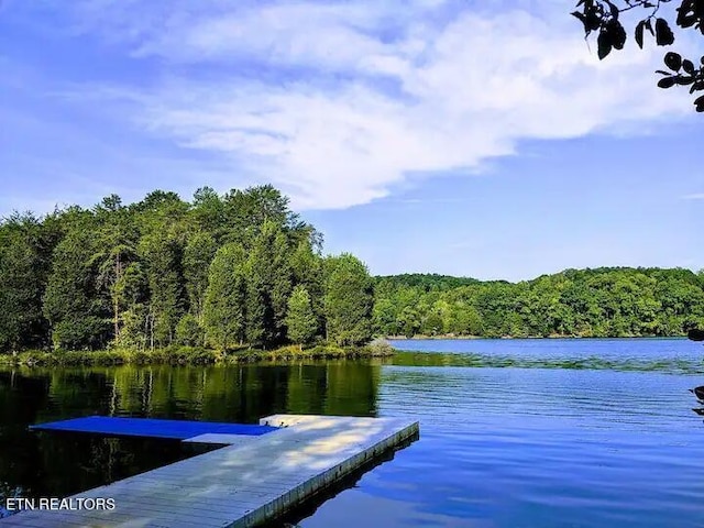 dock area with a water view