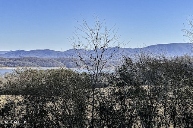 view of mountain feature