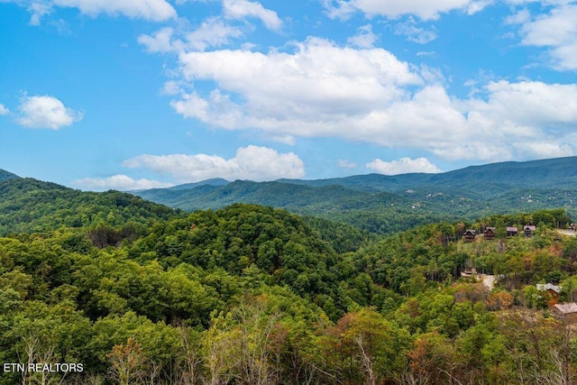 view of mountain feature