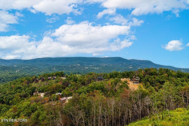 view of mountain feature