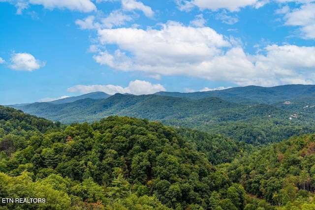 view of mountain feature