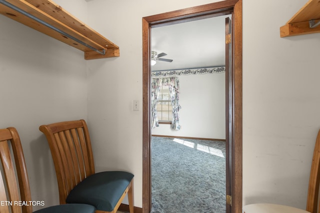 walk in closet with carpet floors and ceiling fan