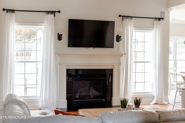 living room featuring a healthy amount of sunlight