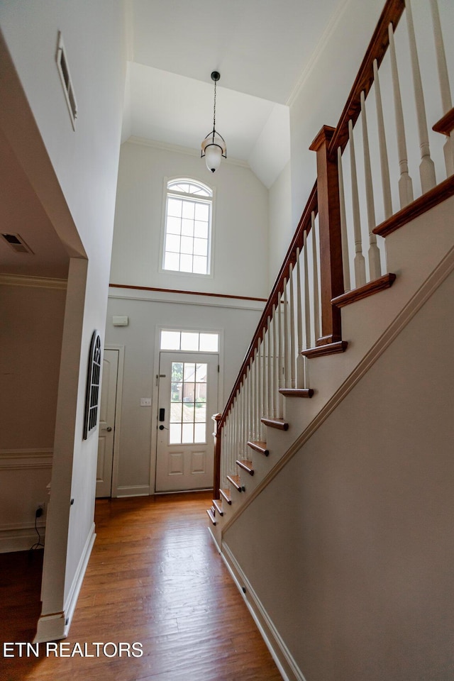 foyer with a high ceiling and wood-type flooring