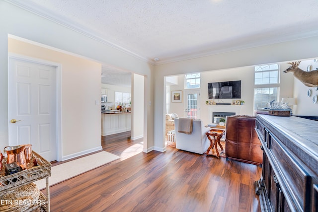 living room with crown molding, a textured ceiling, dark hardwood / wood-style floors, and a healthy amount of sunlight