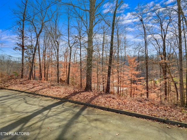 Listing photo 3 for LOT2 Persimmon Orchard Dr, Dandridge TN 37725