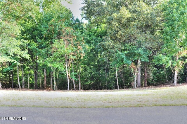 204, 206208 Majestic View Dr, Rockwood TN, 37854 land for sale