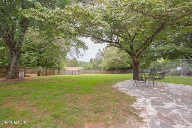 view of yard featuring a patio