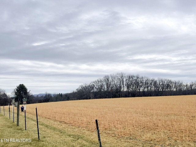 view of yard featuring a rural view