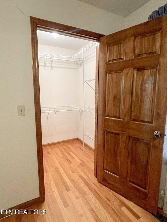 spacious closet with light wood-type flooring