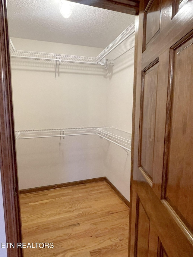 walk in closet featuring light hardwood / wood-style floors