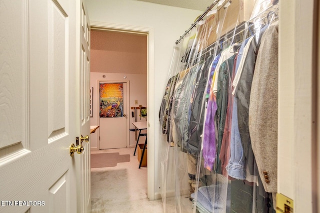 spacious closet with carpet flooring