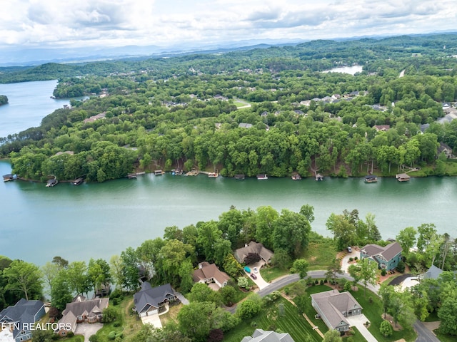 184 Amohi Way, Loudon, TN 37774 - aerial view of residential area featuring a nearby body of water and a heavily wooded area