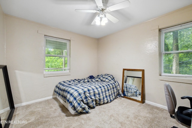 3516 Bluff Point Dr, Knoxville, TN 37920 - carpeted bedroom with baseboards and ceiling fan