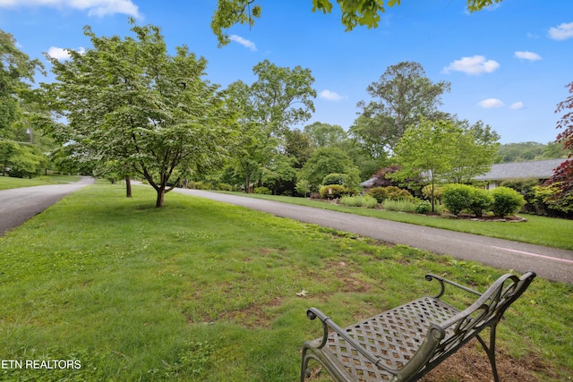 3516 Bluff Point Dr, Knoxville, TN 37920 - view of asphalt street