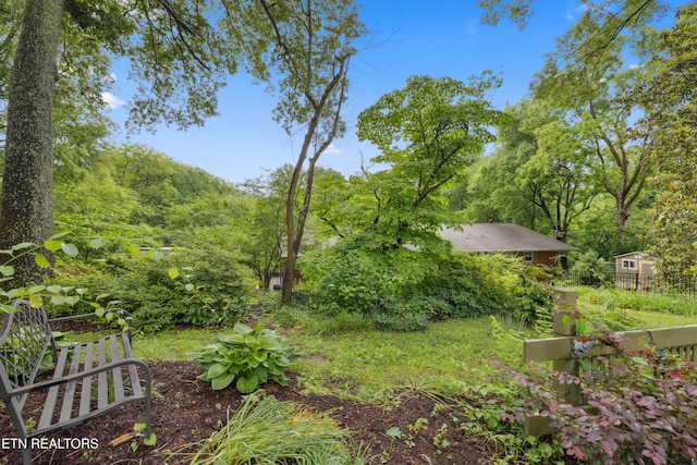 3516 Bluff Point Dr, Knoxville, TN 37920 - view of yard