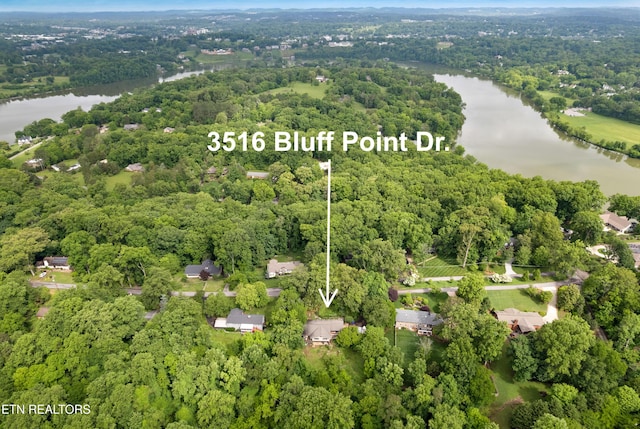 3516 Bluff Point Dr, Knoxville, TN 37920 - aerial view of property's location with a nearby body of water, a heavily wooded area, and property boundaries highlighted