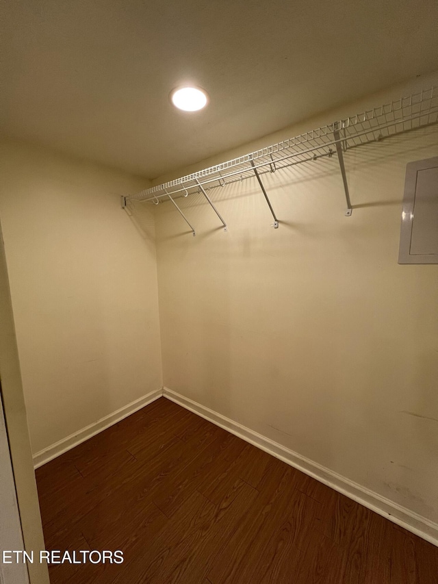 walk in closet with electric panel and dark hardwood / wood-style flooring